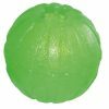 Starmark Treat Chew Ball Ø10cm L