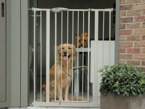 Dog Barrier Door 75cm verlenging 7cm