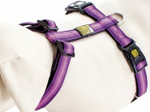 Harnas Booster Purple M nek 36-58cm borst 54-69cm
