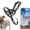 HALTI Headcollar zwart 1