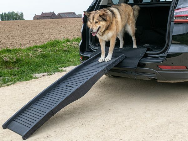 Hondenloopplank plooibaar ABS grijs 152x40cm