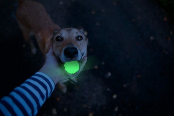 2 Glow Fetch and catch