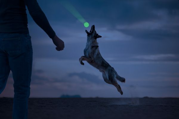 2 Glow Fetch and catch