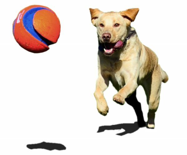 Chuckit Kick Fetch S 14 cm