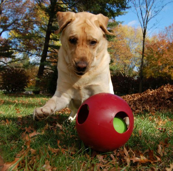 Jolly Teaser Ball 25 cm Rood