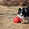 Jolly Tug-n-Toss 10 cm Rood