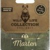 Wild Life Dog Marten