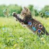 Crazy Cat Fun Bubbles