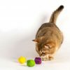 Jackson Galaxy Cat Dice 3pk