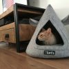 Let's sleep Pet Cave TeePee Grijs