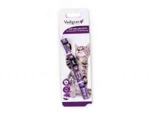 Halsband kat Kitty Cat paars 20-27cmx8mm