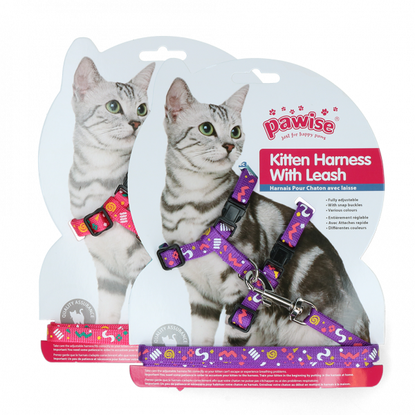 Pawise Kitten Harness Leash-Pink/Purple