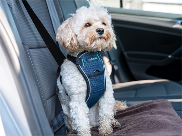 Harnas hond CarSafe Crash Tested XS