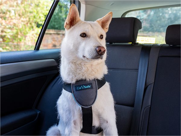 Harnas hond CarSafe Travel M