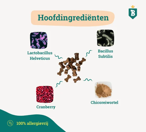 Probiotica maag en darm - Hond